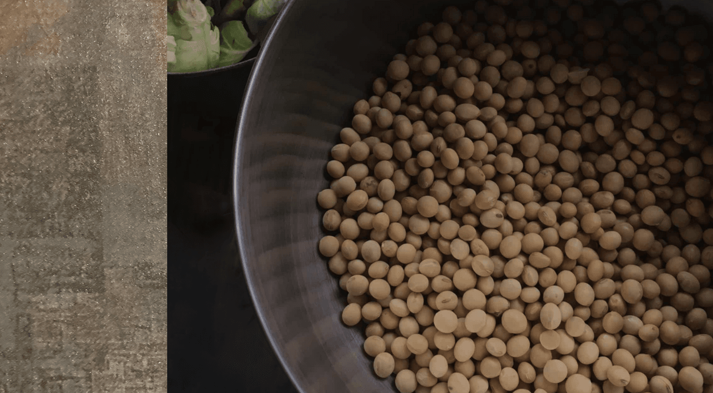 大豆の可能性で
世界にひろがる和